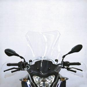 COPPIA DI PARAMANI ISOTTA PER BMW G 310 GS
